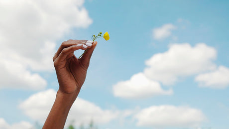 Six Natural Approaches to Supporting Liver Function This Spring