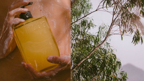 Bathing Reimagined: A Conversation with Stéphane Chambran, Founder of Mircea