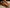 Sauna Lymphatic Drainage