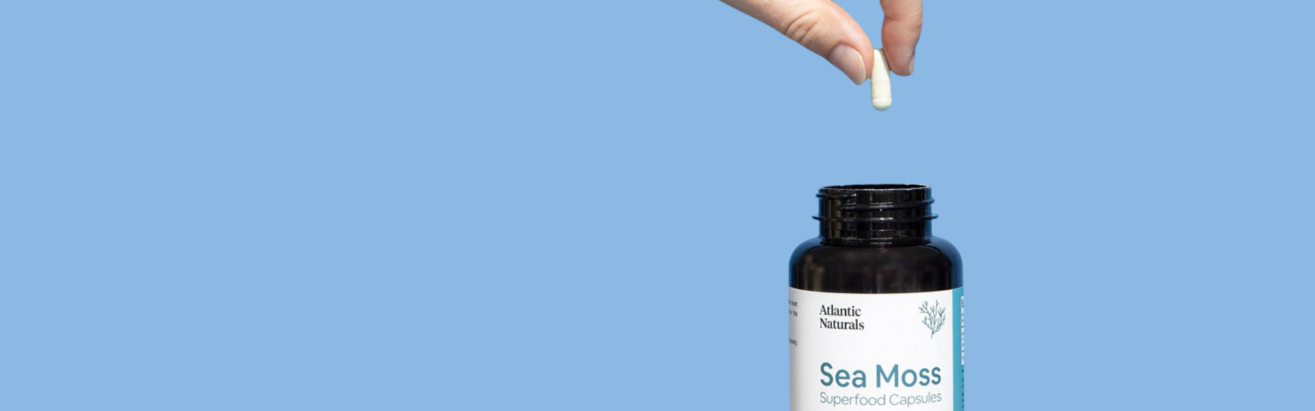 Atlantic Naturals