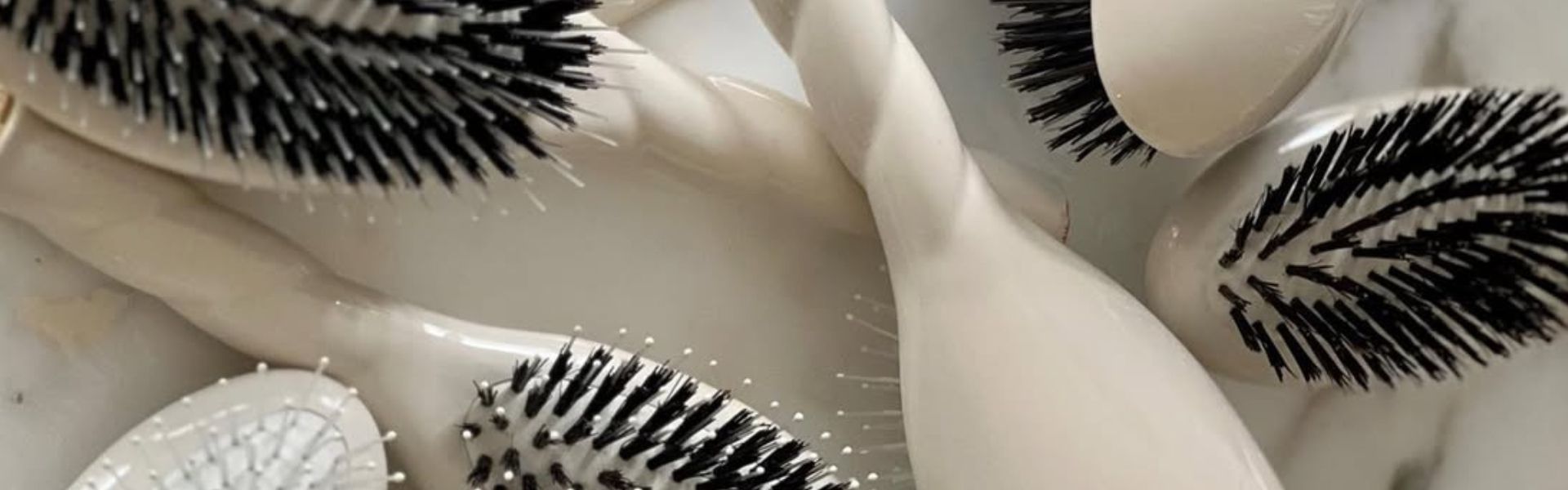 La Bonne Brosse