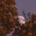 Full Moon Sound Ritual